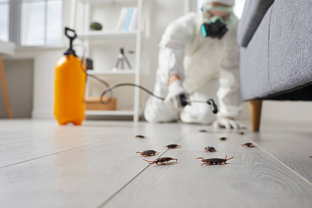 Commercial Kitchen Cockroach Control in Factoryville